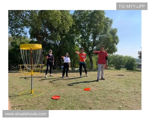 南京飞盘队的战术演绎与转换体系探究之路 南京飞盘队的战术演绎与转换体系探究之路