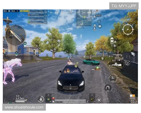 和平精英巨献：深入解析LNG团队配合的战术与策略