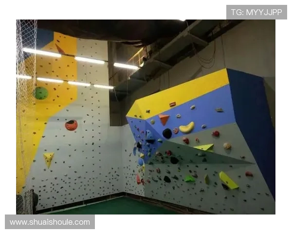 广州攀岩队转型升级之路：探索新模式与未来发展方向