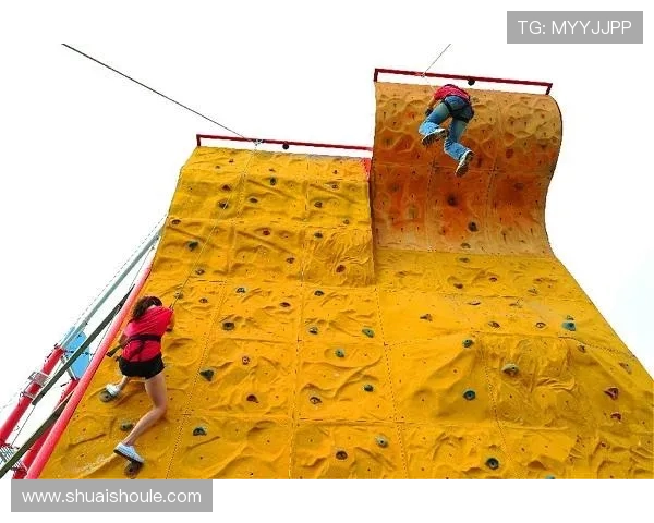 武汉攀岩队实力对比深度解析与未来发展趋势探讨 武汉攀岩队实力对比深度解析与未来发展趋势探讨