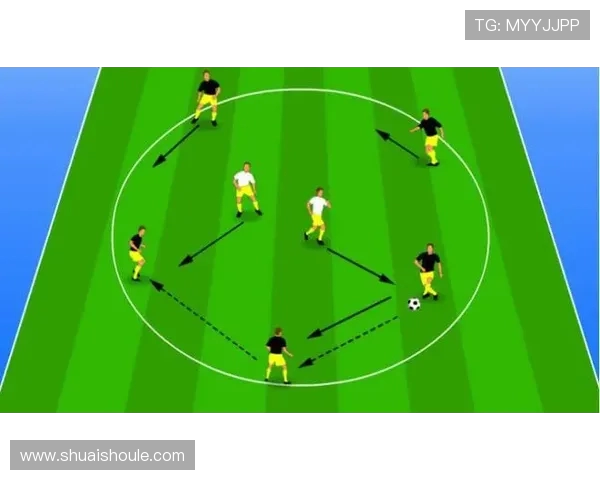 深圳足球队的控制革新带来的新机遇与挑战分析 深圳足球队的控制革新带来的新机遇与挑战分析