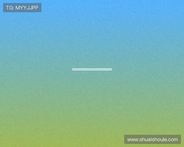 史鸿飞的奋斗历程与成就探索：从平凡到卓越的启示与反思