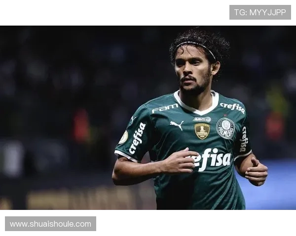 帕梅拉斯与累体育2017年精彩对决回顾与分析 帕梅拉斯与累体育2017年精彩对决回顾与分析