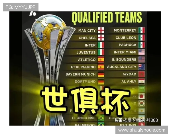 拜仁慕尼黑对阵波尔图新浪赛事分析与精彩瞬间回顾