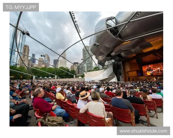 斯通斯乐队的传奇之旅与音乐影响力探讨