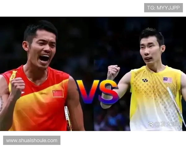林丹与李宗伟在武汉的巅峰对决回顾与精彩瞬间分析