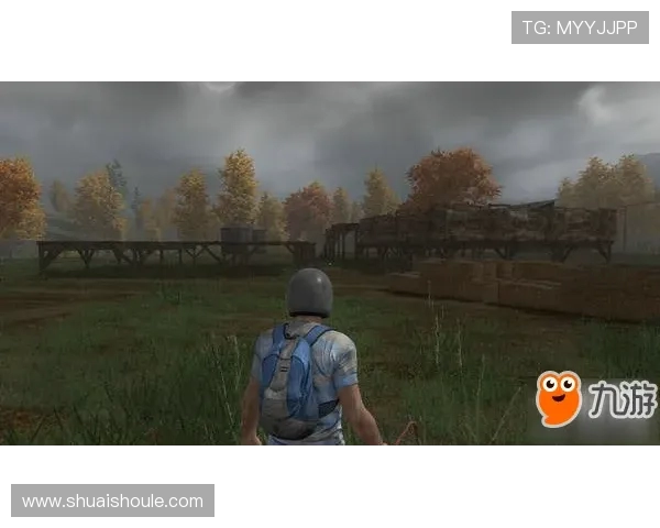 极限运动战术解析上海极限运动队的区域防守策略与实践探讨